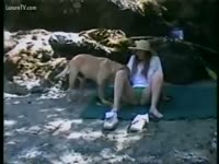 Doggy copulates concupiscent floozy
